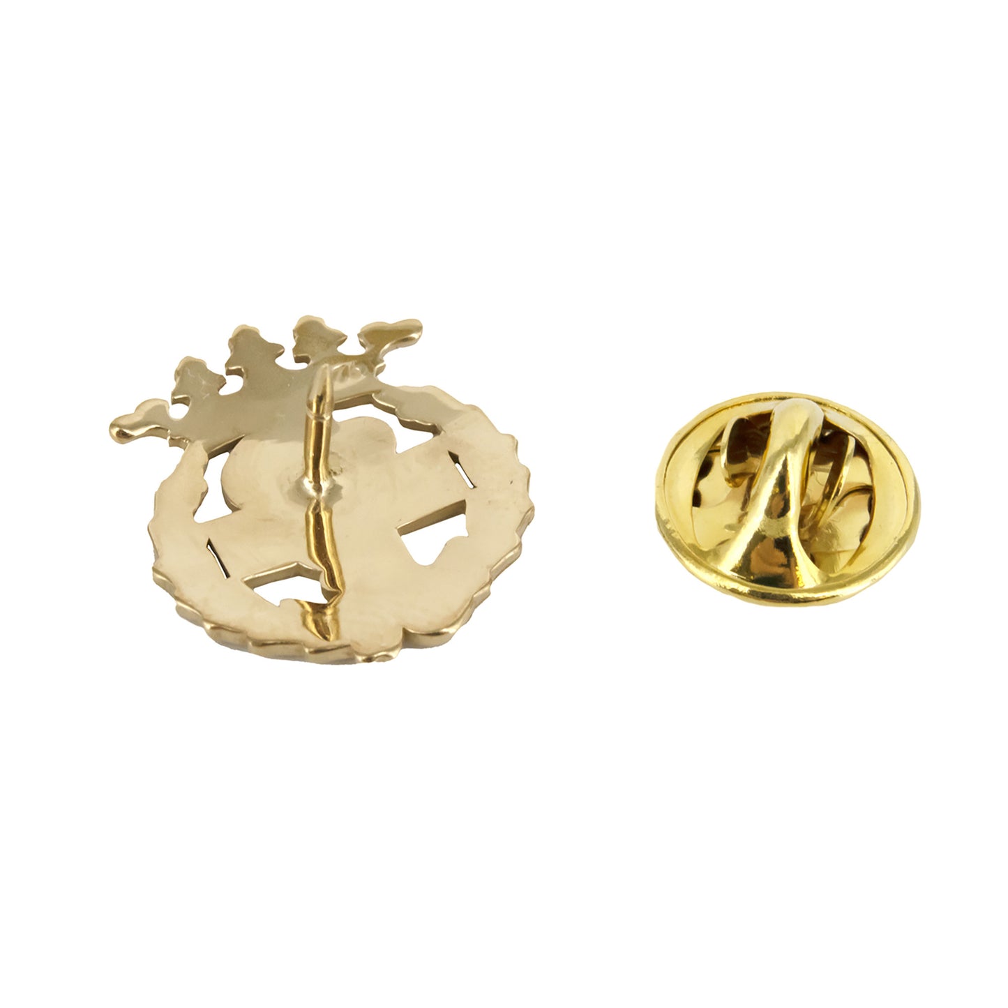 Pin Insignia Profesional de Podología en Oro de Ley 18K