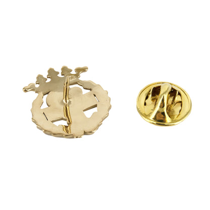 Pin Insignia Profesional de Podología en Plata 925 con Baño de Oro 18K
