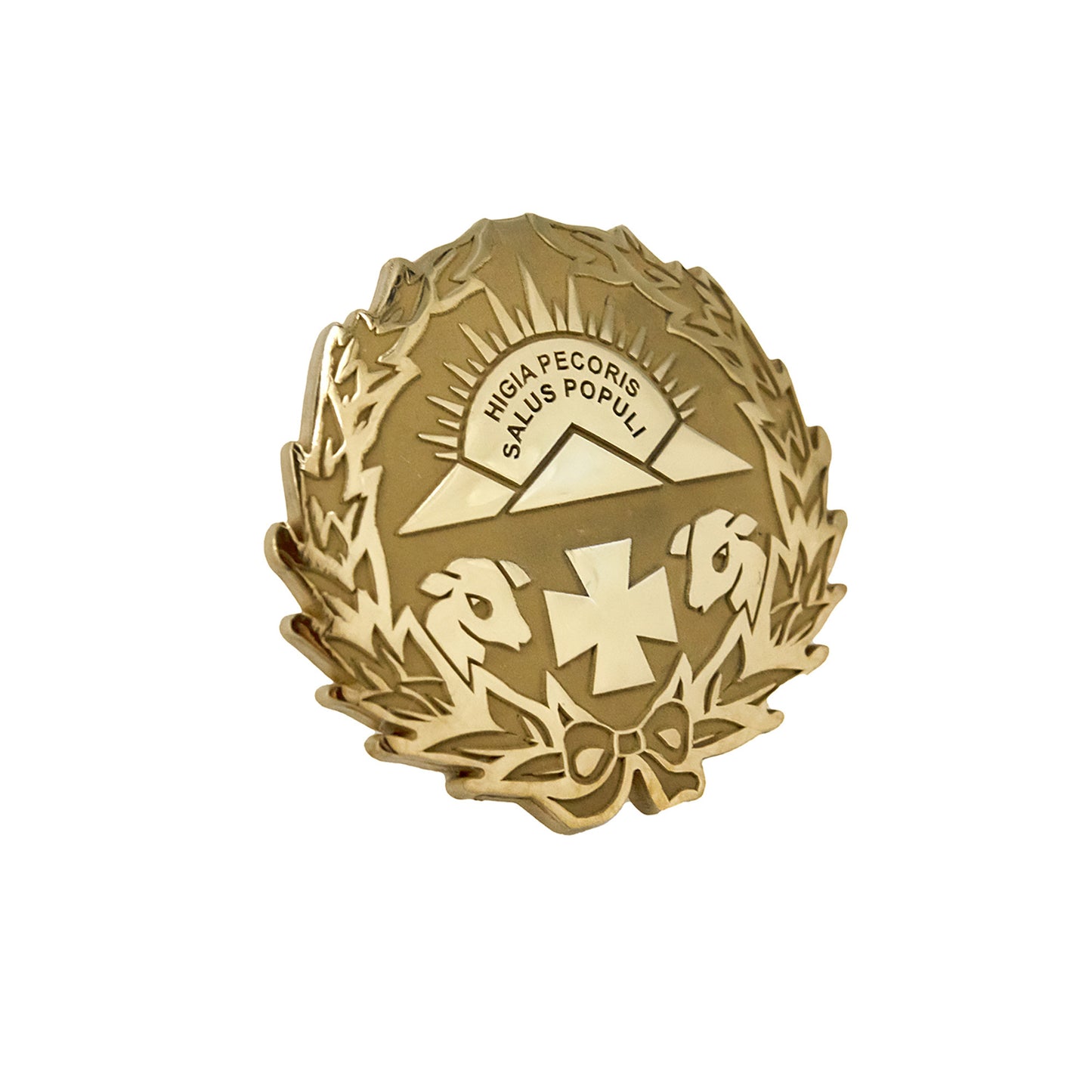 Pin Insignia Profesional de Veterinaria en Plata de Ley 925 Bañada en Oro de 18K