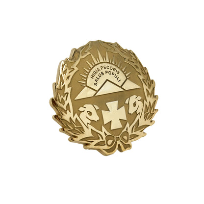 Pin Insignia Profesional de Veterinaria en Plata de Ley 925 Bañada en Oro de 18K