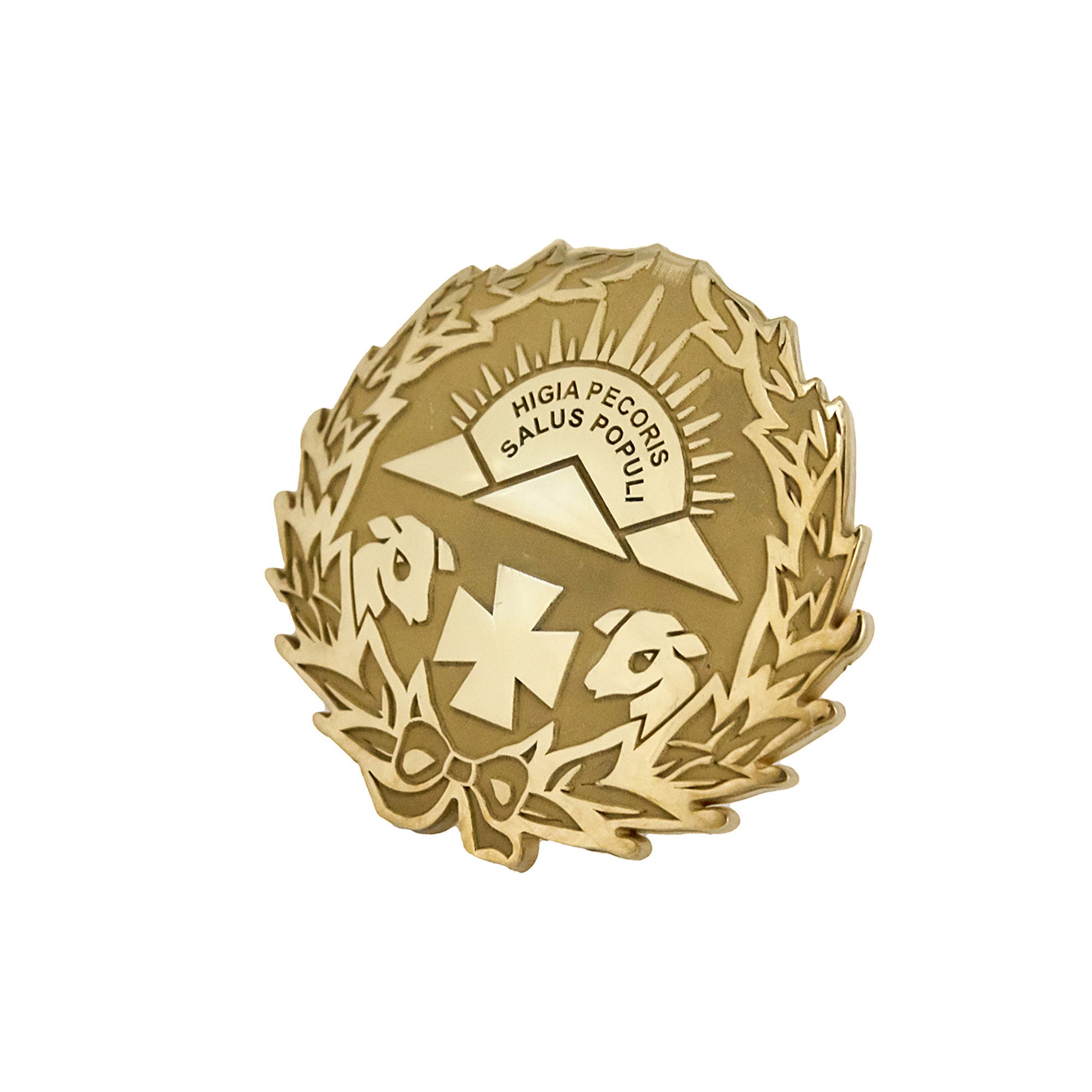 Pin Insignia Profesional de Veterinaria en Oro de Ley 18K